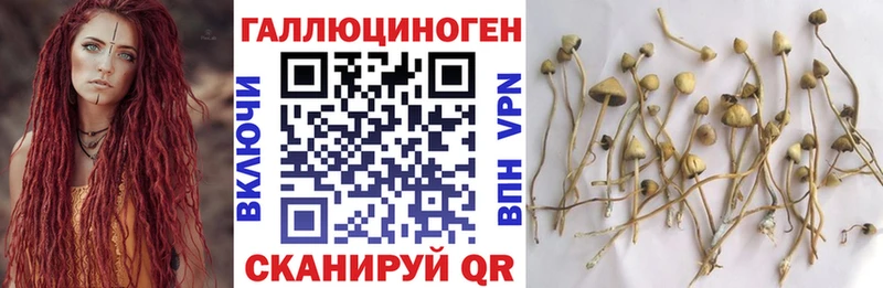 Галлюциногенные грибы GOLDEN TEACHER  Андреаполь 