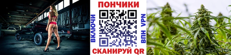 хочу   Андреаполь  МЕГА как зайти  Бошки Шишки сатива 